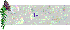 UP
